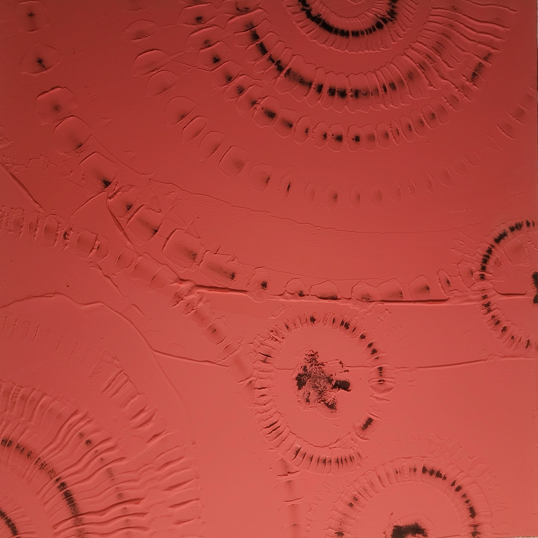 DINWORX surface study 06